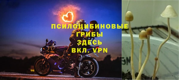 бошки Нефтекумск