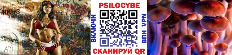 Псилоцибиновые грибы прущие грибы как найти Химки