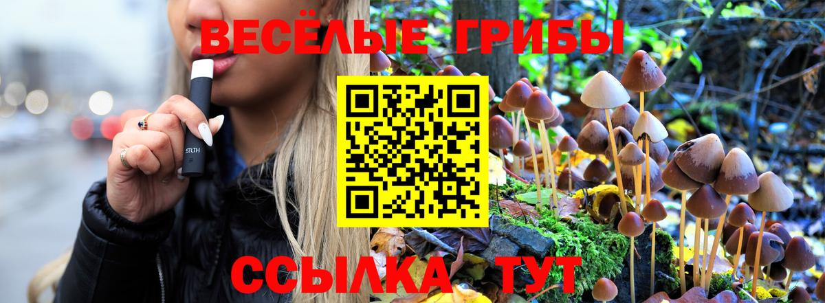 Химки  Галлюциногенные грибы Psilocybe  где купить наркоту  Вход с VPN 